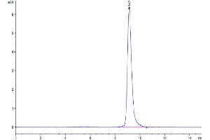 Size-exclusion chromatography-High Pressure Liquid Chromatography (SEC-HPLC) image for Interleukin 9 (IL9) (AA 19-144) protein (His tag) (ABIN7274984)