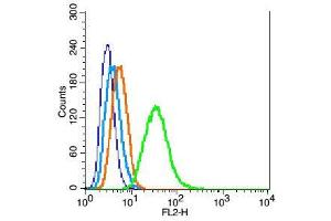 Image no. 5 for anti-WD Repeat Domain 26 (WDR26) (AA 101-200) antibody (ABIN729988)