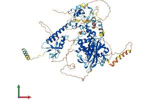 Protein Structure (PS) image for Ubiquitin Specific Peptidase 33 (USP33) (AA 1-942) protein (His tag) (ABIN7555922)