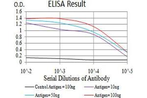 Black line: Control Antigen (100 ng);Purple line: Antigen (10ng); Blue line: Antigen (50 ng); Red line:Antigen (100 ng) (PD-L1 抗体  (AA 24-153))