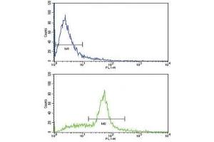 Flow Cytometry (FACS) image for anti-KIT Ligand (KITLG) (AA 244-273) antibody (ABIN3031561)