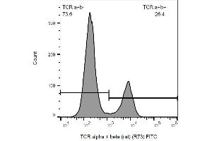Surface staining of rat splenocytes with anti-rat TCR alpha/beta (R73) FITC. (TCR alpha/beta 抗体  (FITC))