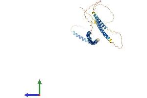 AlphaFold protein structure predicition of Human Recombinant GKAP1 Protein, UniprotID Q5VSY0