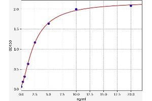 SLC27A1 ELISA 试剂盒