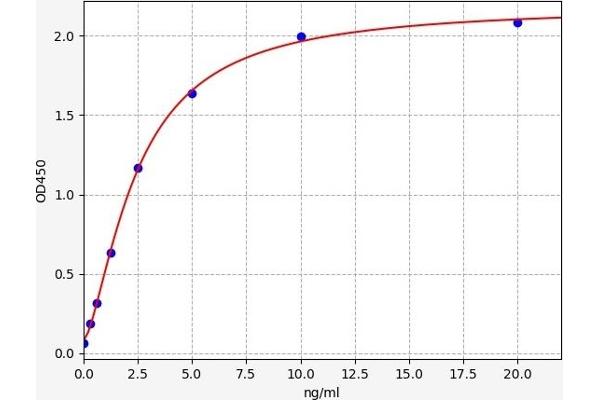 SLC27A1 ELISA 试剂盒