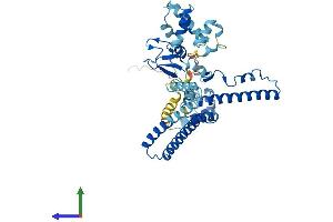 Protein Structure (PS) image for Transcriptional Adaptor 2A (TADA2A) (AA 1-443) protein (His tag) (ABIN7559347)