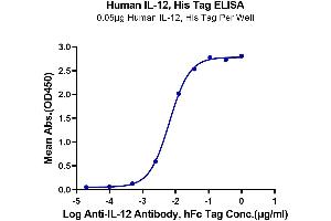 Immobilized Human IL-12, His Tag at 0. (IL12 Protein (His-Avi Tag))