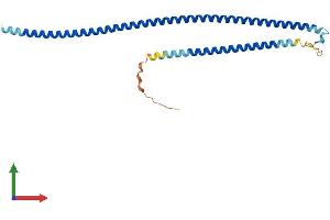 Protein Structure (PS) image for RAB GTPase Activating Protein 1-Like (RABGAP1L) (AA 1-253) protein (His tag) (ABIN7551271)