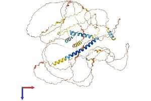 Family with Sequence Similarity 149, Member A (FAM149A) (AA 1-773) protein (His tag)