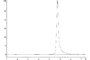The purity of Human TRAIL R2 is greater than 95 % as determined by SEC-HPLC.