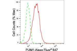Flow cytometric analysis of PUM1 expression in HepG2 cells using PUM1 antibody (ABIN7800064), 1:2,000). (Recombinant PUM1 抗体)