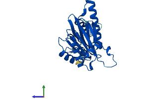 Protein Structure (PS) image for Proteasome Subunit alpha 5 (PSMA5) (AA 1-241) protein (His tag) (ABIN7556446)