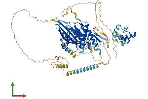 Protein Structure (PS) image for Kinesin Family Member 22 (KIF22) (AA 1-660) protein (His tag) (ABIN7557355)