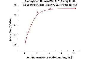 ELISA image for CD274 (PD-L1) (AA 19-238) (Active) protein (Fc Tag,AVI tag,Biotin) (ABIN5674607)