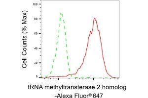Flow cytometric analysis of tRNA methyltransferase 2 homolog expression in HepG2 cells using tRNA methyltransferase 2 homolog A antibody (ABIN7800983), 1:2,000). (Recombinant TRNA Methyltransferase 2 Homolog 抗体)