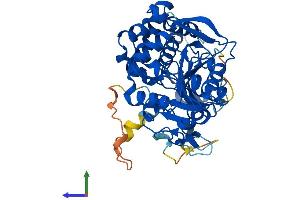 Protein Structure (PS) image for 5'-Nucleotidase Domain Containing 1 (NT5DC1) (AA 1-455) protein (His tag) (ABIN7549941)