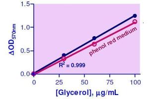 Biochemical Assay (BCA) image for Adipolysis Assay Kit (ABIN1000290)