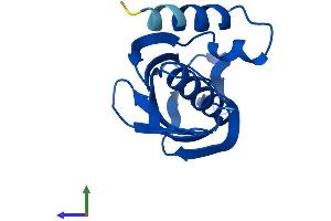 Protein Structure (PS) image for Acyl-CoA Thioesterase 13 (ACOT13) (AA 1-140) protein (His tag) (ABIN7551806)
