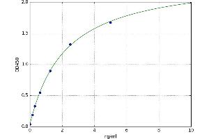 Forkhead Box O3 (FOXO3) ELISA Kit