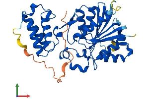 Protein Structure (PS) image for HemK Methyltransferase Family Member 1 (HEMK1) (AA 1-338) protein (His tag) (ABIN7548251)