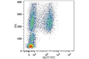 Surface staining of human peripheral blood cells with anti-CD177 (MEM-166) FITC. (CD177 抗体  (APC))