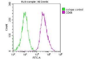 Overlay histogram showing Hela cells stained with ABIN7147160 (red line) at 1:200. (CD44 抗体  (AA 21-220))