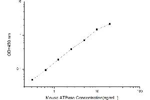 Typical standard curve (ATPase (Na/K) ELISA 试剂盒)