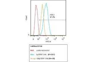 Flow Cytometry (FACS) image for anti-Signal Transducer and Activator of Transcription 3 (Acute-Phase Response Factor) (STAT3) (pTyr705) antibody (FITC) (ABIN732645)