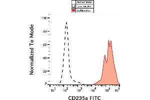 Flow cytometry analysis (surface staining) of human peripheral blood with anti-CD235ab (HIR2) FITC. (CD235ab 抗体  (N-Term) (FITC))