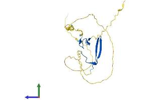 Protein Structure (PS) image for RING1 and YY1 Binding Protein (RYBP) (AA 1-228) protein (His tag) (ABIN7559248)