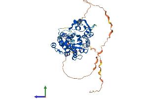 Protein Structure (PS) image for Carbohydrate (N-Acetylglucosamine-6-O) Sulfotransferase 2 (CHST2) (AA 1-530) protein (His tag) (ABIN7564284)