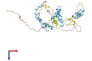 AlphaFold protein structure predicition of Human Recombinant ZNF787 Protein, UniprotID Q6DD87