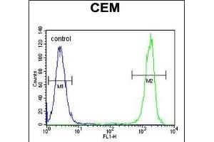 Flow Cytometry (FACS) image for anti-Nudix (Nucleoside Diphosphate Linked Moiety X)-Type Motif 22 (NUDT22) (AA 220-249), (C-Term) antibody (ABIN655227)