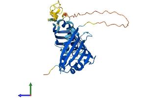 Protein Structure (PS) image for Activator of HSP90 ATPase Activity 1 (AHSA1) (AA 1-338) protein (His tag) (ABIN7552013)