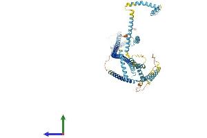 AlphaFold protein structure predicition of Mouse Recombinant Cep70 Protein, UniprotID Q6IQY5