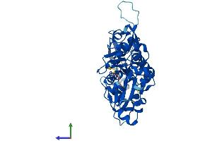 AlphaFold protein structure predicition of Mouse Recombinant Actr1a Protein, UniprotID P61164