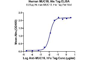 Immobilized Human MUC18, His Tag at 0. (MCAM Protein (AA 24-559) (His tag))