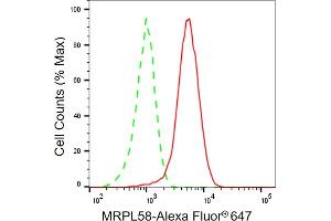 Flow cytometric analysis of MRPL58 expression in HepG2 cells using MRPL58 antibody (ABIN7799758), 1:2,000). (Peptidyl-tRNA Hydrolase ICT1, Mitochondrial 抗体)