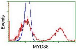 Image no. 2 for anti-Myeloid Differentiation Primary Response Gene (88) (MYD88) antibody (ABIN1499610) (MYD88 抗体)
