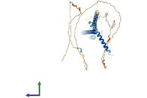 AlphaFold protein structure predicition of Mouse Recombinant Cenpu Protein, UniprotID Q8C4M7