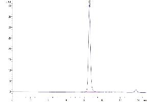 Size-exclusion chromatography-High Pressure Liquid Chromatography (SEC-HPLC) image for Albumin (ALB) (AA 25-608) protein (His tag) (ABIN7273985)