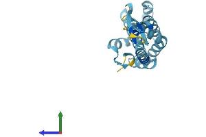 Protein Structure (PS) image for COMM Domain Containing 4 (COMMD4) (AA 1-199) protein (His tag) (ABIN7560495)