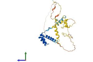 AlphaFold protein structure predicition of Mouse Recombinant Gsc Protein, UniprotID Q02591