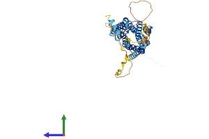 AlphaFold protein structure predicition of Mouse Recombinant Drd4 Protein, UniprotID P51436