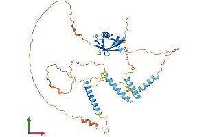 AlphaFold protein structure predicition of Human Recombinant HERPUD1 Protein, UniprotID Q15011 (HERPUD1 Protein (AA 1-391) (His tag))