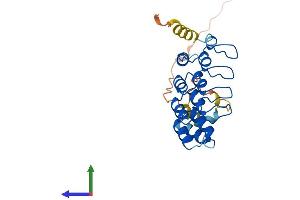 Protein Structure (PS) image for Ankyrin Repeat Domain 49 (ANKRD49) (AA 1-238) protein (His tag) (ABIN7559885)