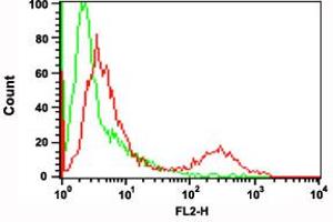 Flow cytometric analysis of A-20 cells with CD274 polyclonal antibody . (PD-L1 抗体  (Internal Region))