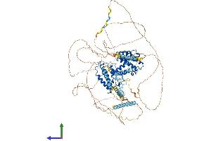 AlphaFold protein structure predicition of Mouse Recombinant Brdt Protein, UniprotID Q91Y44