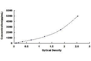 Typical standard curve (NPTX2 ELISA 试剂盒)