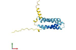 Protein Structure (PS) image for Proteolipid Protein 2 (PLP2) (AA 1-152) protein (His tag) (ABIN7550809)